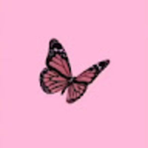 Meet your Posher, Lily